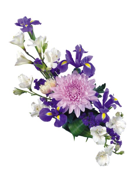 Композиция из цветов на прозрачном фоне