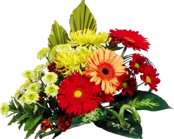 Герберы осенний букет
