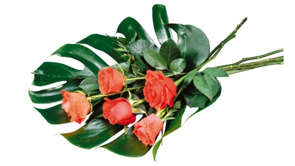 Лежачий букет