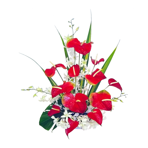 Букет мужчине на белом фоне