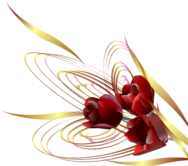 Цветы для мужчины на прозрачном фоне