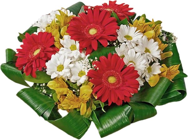 Букет цветов на прозрачном фоне