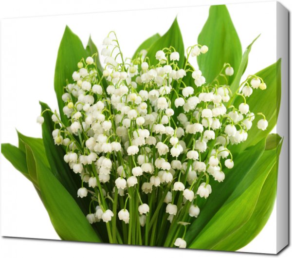 Арт деко Ландыши