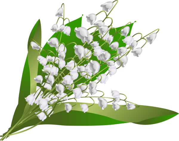Клипарт Ландыши на прозрачном фоне