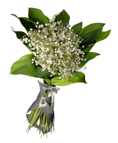 Букет ландышей на прозрачном фоне