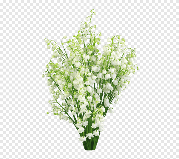 Букет ландышей на прозрачном фоне