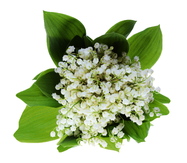 Символ букет ландышей