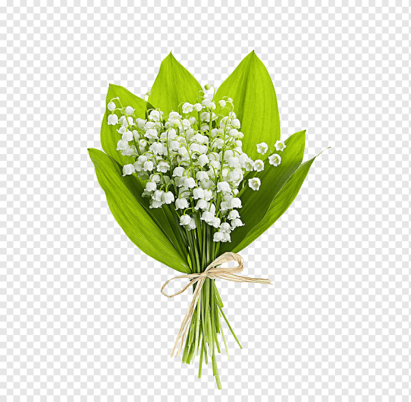 Lily of the Valley Марсель