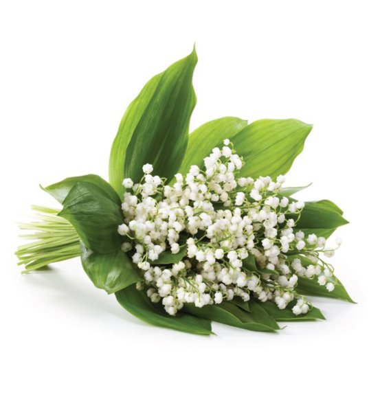 Букет ландышей