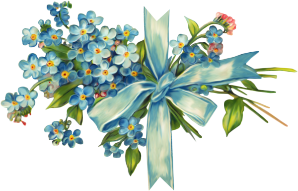 Незабудка рисунок