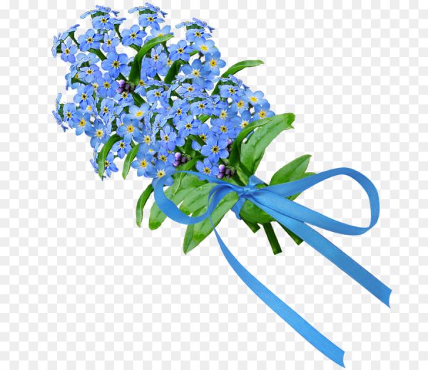 Незабудки на прозрачном фоне