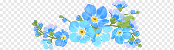 Незабудка вектор