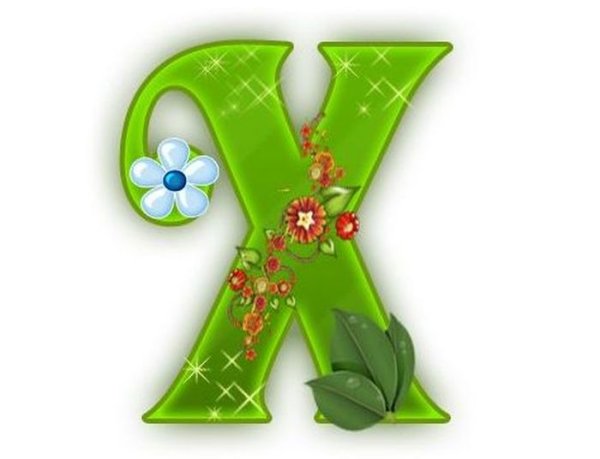 Красочная буква х