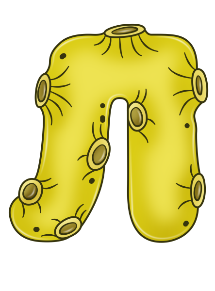 Забавные буквы