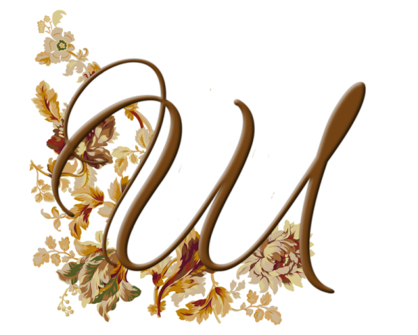 Буква ш красивая