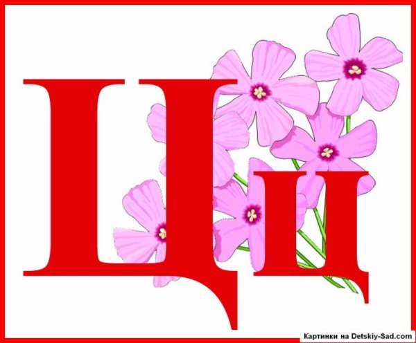 Буква ц для детей