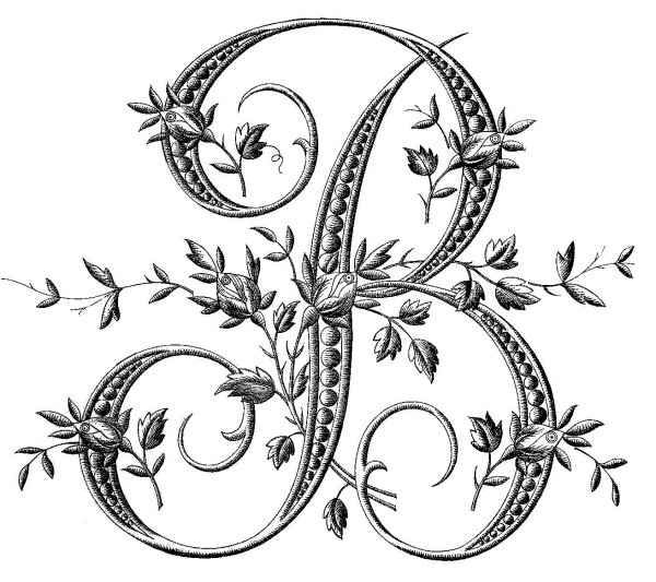 Буквы с узорами