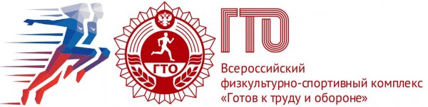 Фестиваль ВФСК ГТО