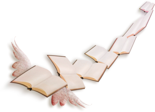 Книга с крыльями