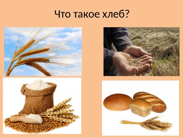 Хлебобулочные изделия для дошкольников