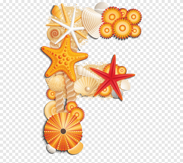 Буквы ракушки