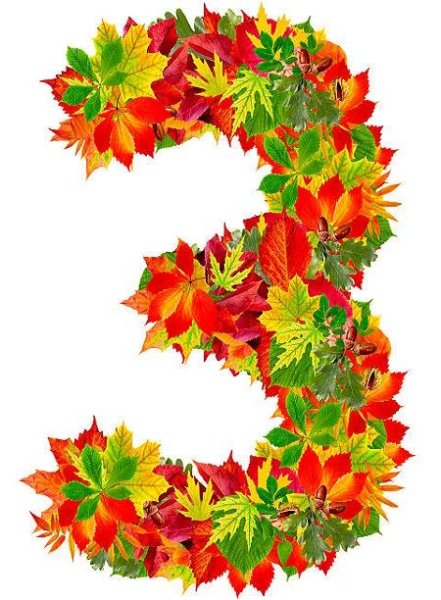 Цифры из осенних листьев