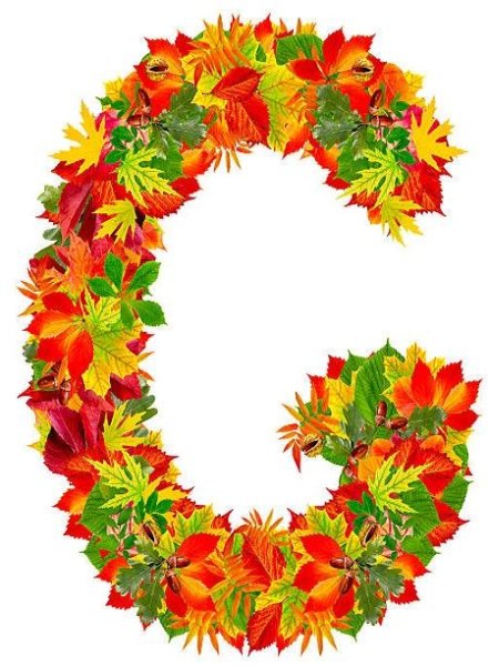 Буквы на осенних листьях