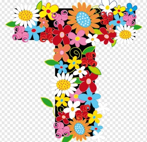 Буквы алфавита из цветов