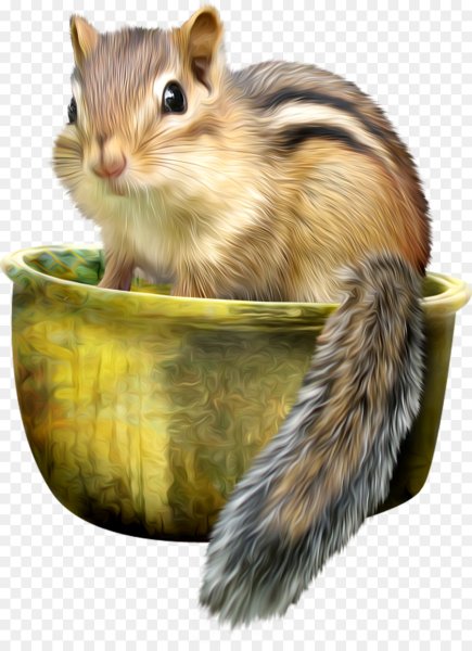 Бурундук на белом фоне