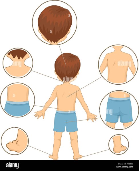 Части тела волосы для детей