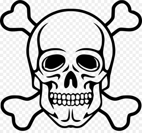 Череп без фона