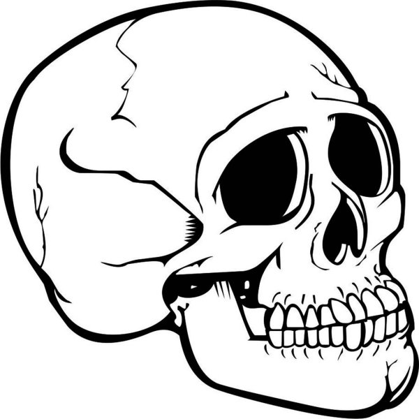 Череп векторное изображение