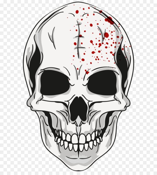 Череп для рисования