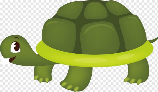 Мультяшные черепахи
