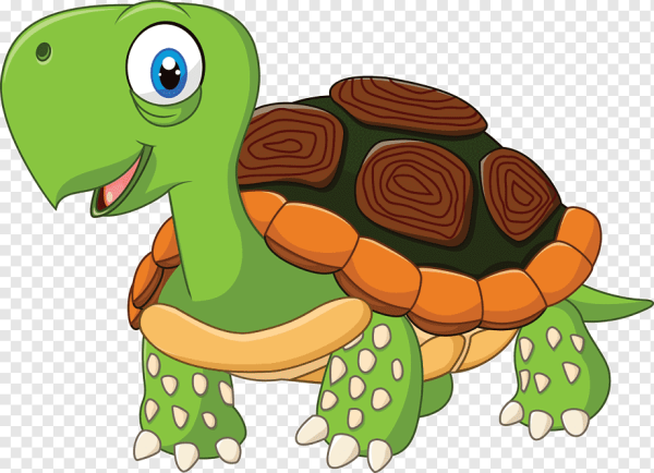 Черепашка мультяшка на на прозрачном фоне