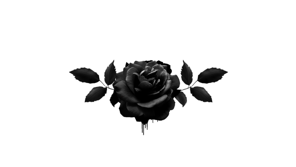 Минимализм черная роза