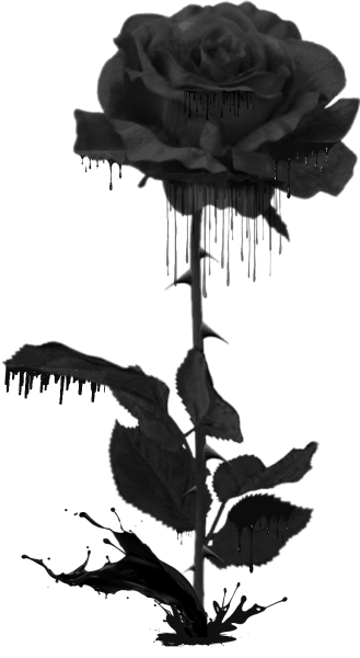 Черная роза с шипами