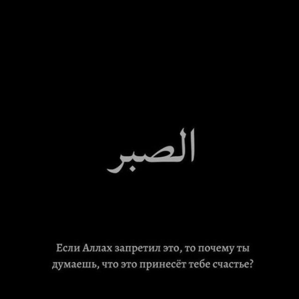 Цитаты из Корана про терпение