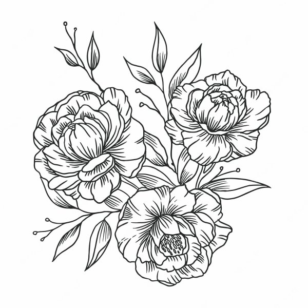 Пионы вектор чб