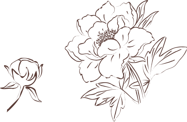 Трафарет пионы для рисования