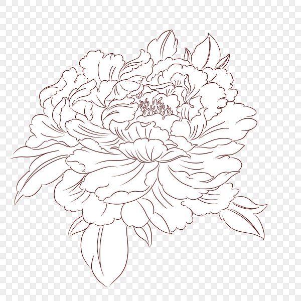 Пионы вектор тату