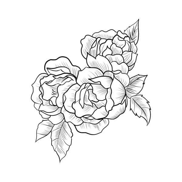 Пион эскиз тату контур