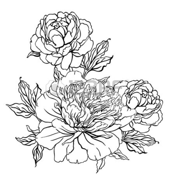 Пион силуэт