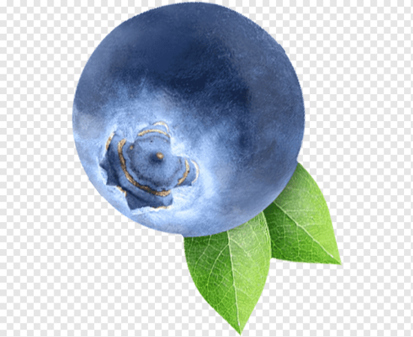 Черника на прозрачном фоне