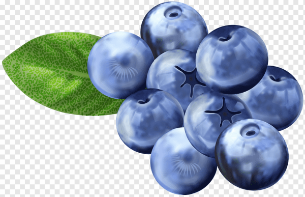 Черника без фона