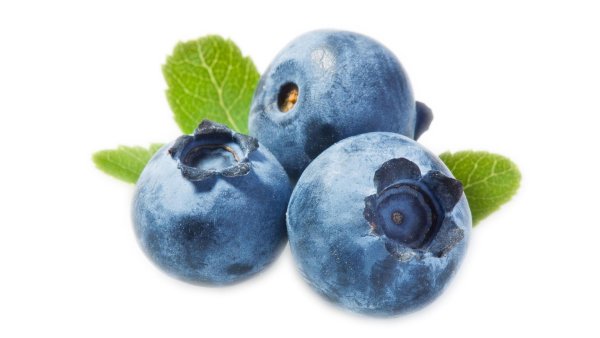 Спелая голубика