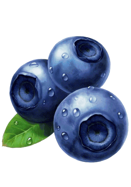 Черника ягода