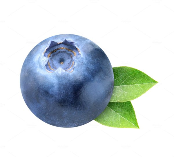 Черника на белом фоне