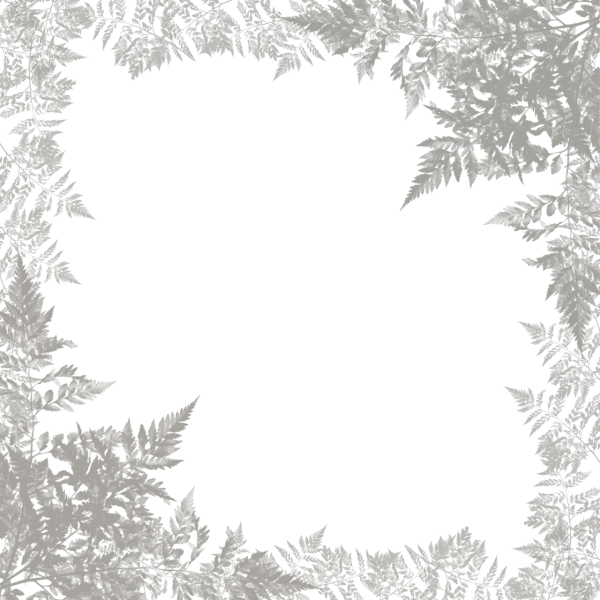 Новогодняя рамка на прозрачном фоне