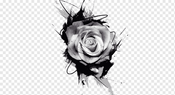 Белые цветы на черном фоне